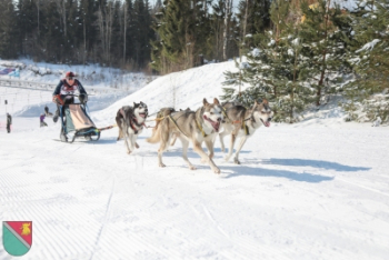 Kamanu suņu sacensību Pasaules kausa posms