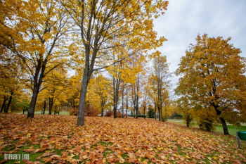 Rudens Madonā