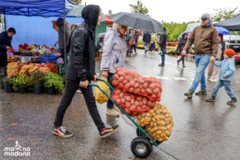 Kartupeļu svētki 2024